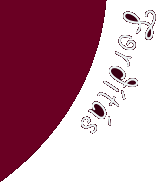 Ford&iacute;t&aacute;s
