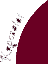 Kapcsolat